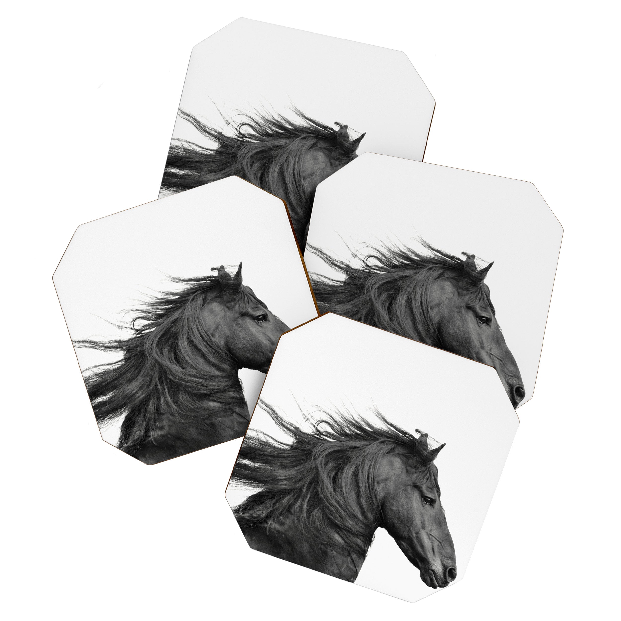 Wild Horse, Black and White Photography Coaster Gallery Image 1