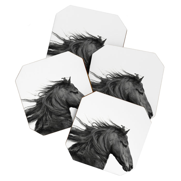 Wild Horse, Black and White Photography Coaster Gallery Image 1