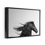 Wild Horse, Black and White Photography Framed Canvas Print Gallery Image 2