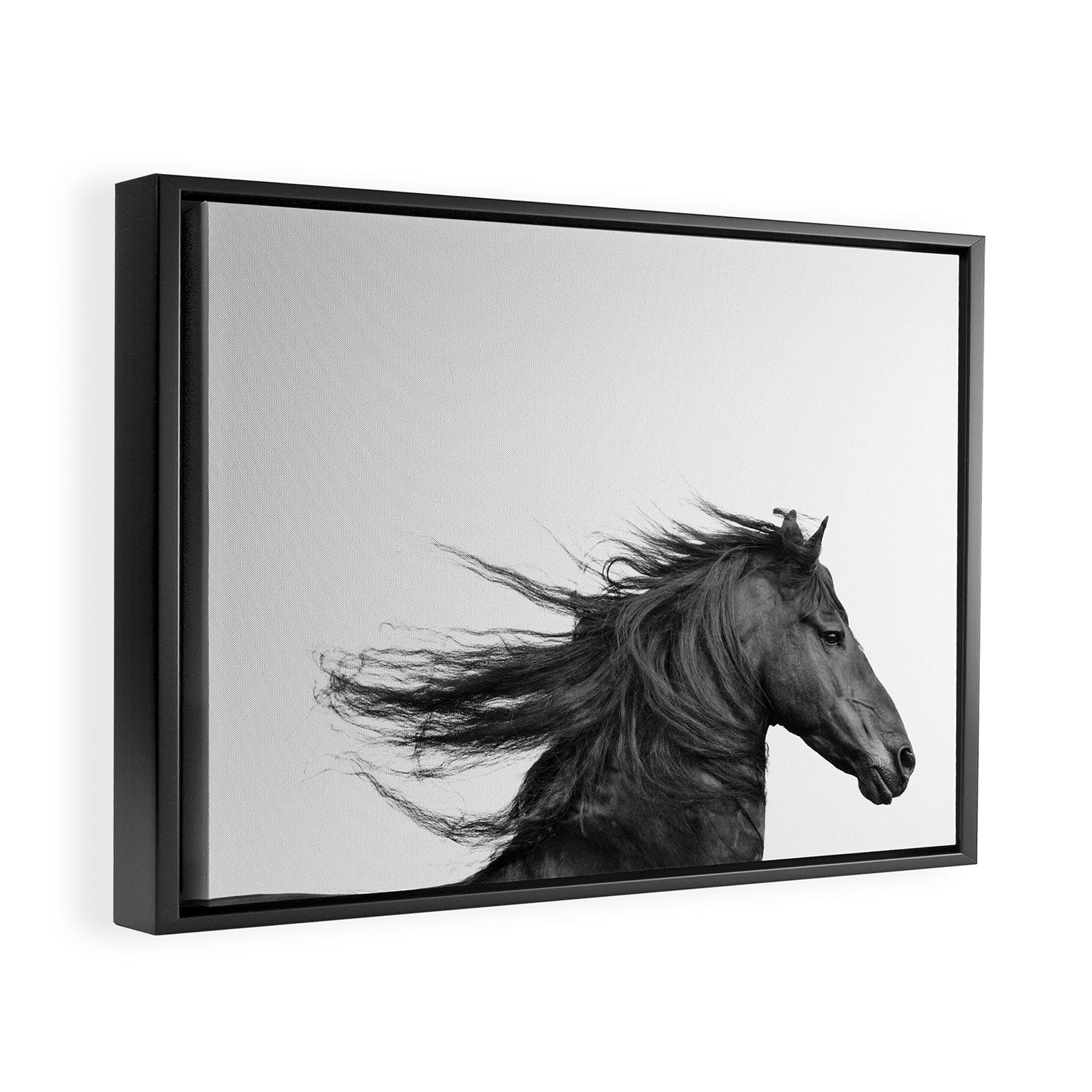 Wild Horse, Black and White Photography Framed Canvas Print Gallery Image 2