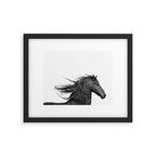 Wild Horse, Black and White Photography Framed Art Print Gallery Image 5