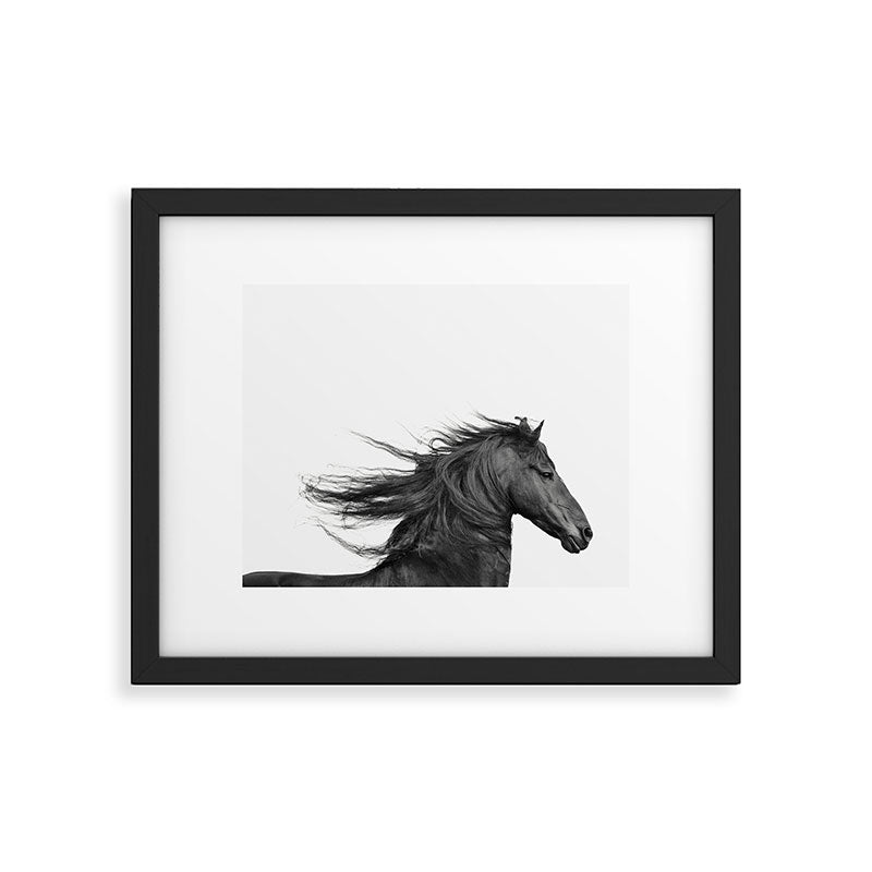 Wild Horse, Black and White Photography Framed Art Print Gallery Image 5