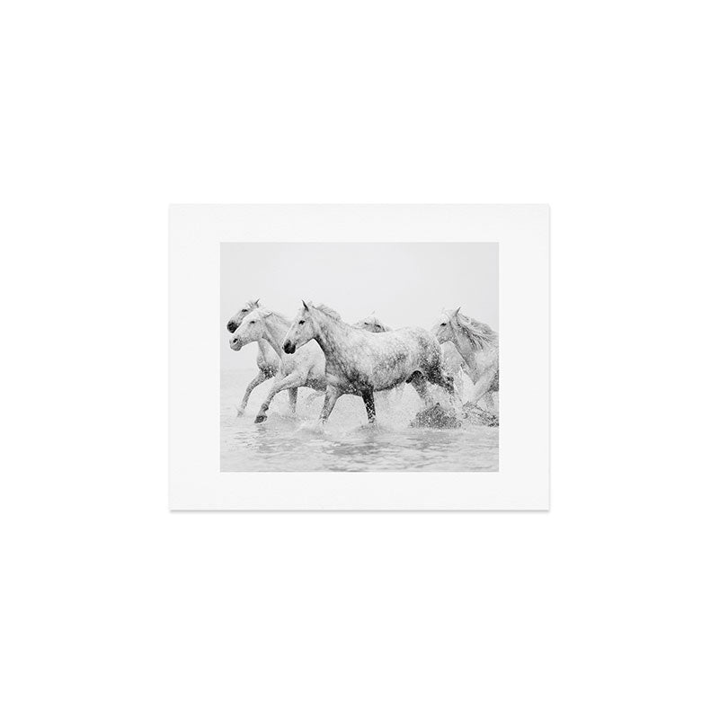 Wild Horses - Black and White Photography Art Print Gallery Image 1