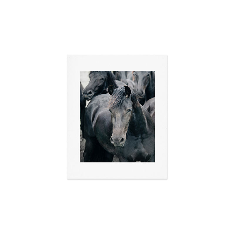 Your Wild Horses - Nature Photography Art Print Gallery Image 1