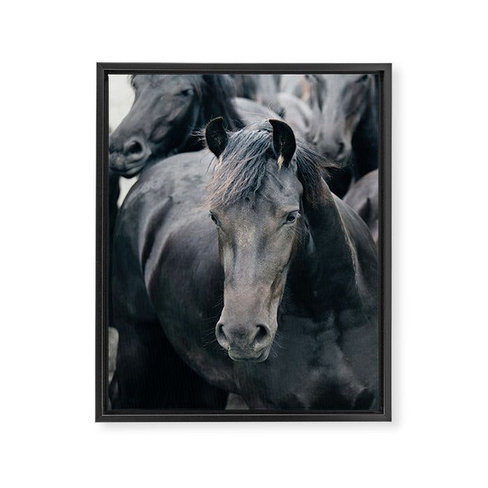 Your Wild Horses - Nature Photography Framed Canvas Print Gallery Image 1