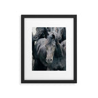 Your Wild Horses - Nature Photography Framed Art Print Gallery Image 5