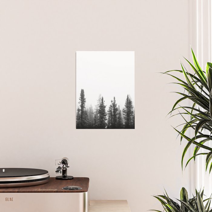 Misty Forest Poster Gallery Image 2