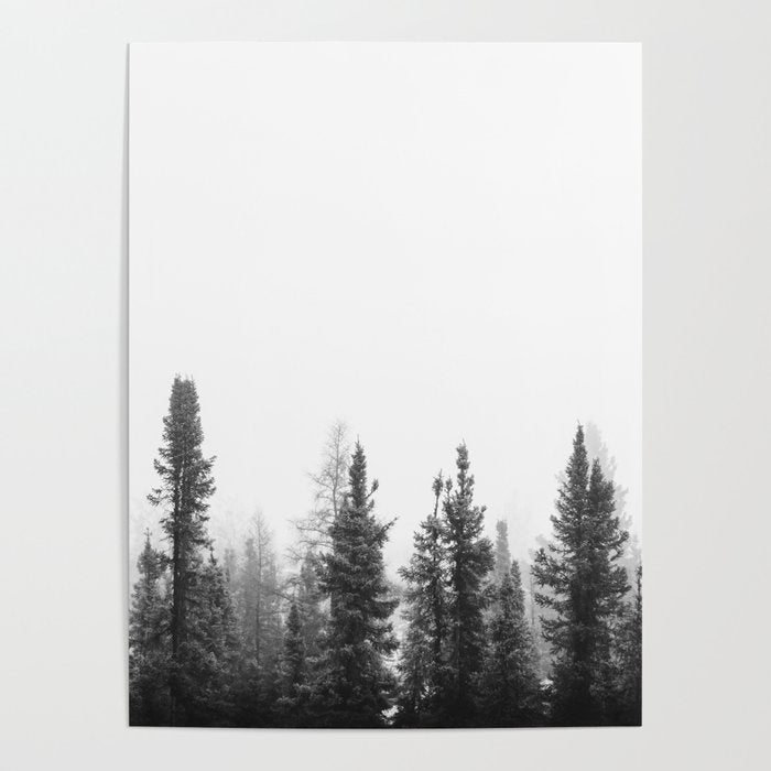 Misty Forest Poster Gallery Image 1
