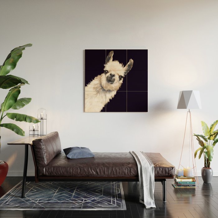 Sneaky Llama in Black Wood Wall Art Gallery Image 2