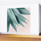 Agave flare Wall Mural Gallery Image 2