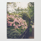 Springtime in New Orleans x New Orleans Photography Poster Gallery Image 4