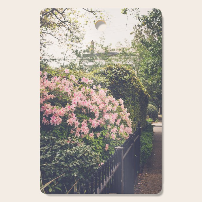 Springtime in New Orleans x New Orleans Photography Cutting Board Gallery Image 1