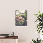 Springtime in New Orleans x New Orleans Photography Poster Gallery Image 2