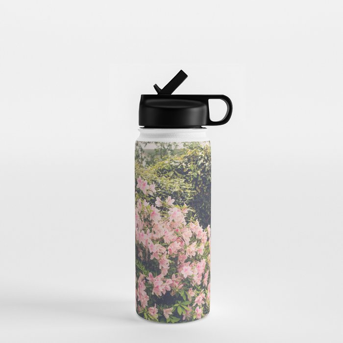 Springtime in New Orleans x New Orleans Photography Water Bottle Gallery Image 1
