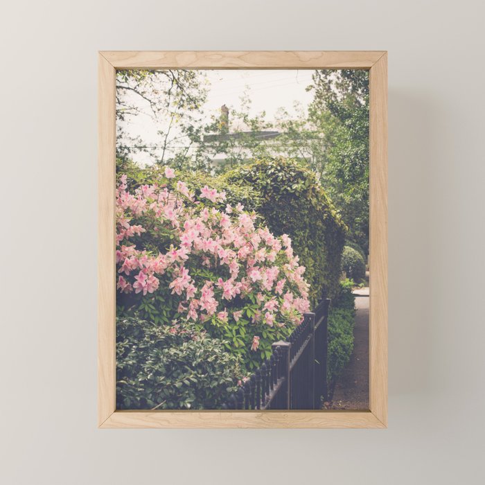 Springtime in New Orleans x New Orleans Photography Mini Art Print Gallery Image 1