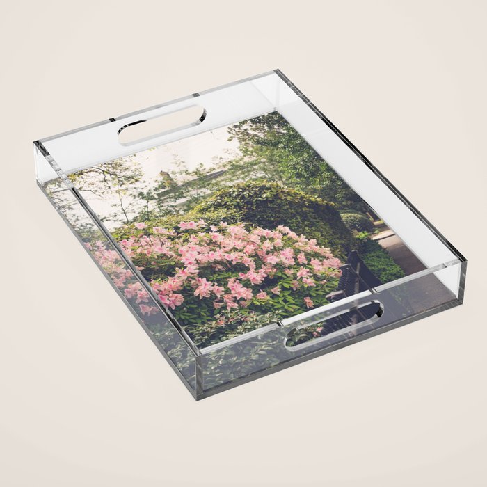 Springtime in New Orleans x New Orleans Photography Acrylic Tray Gallery Image 1