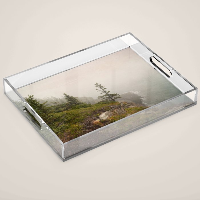 Bold Coast of Maine - travel photography grey landscape peridot green Acrylic Tray Gallery Image 1
