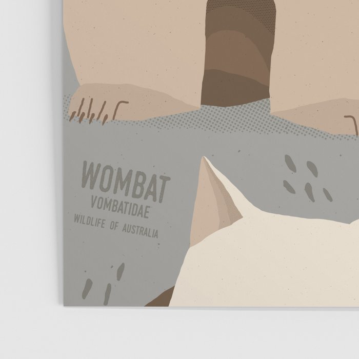 Wombat, Wildlife of Australia Poster Gallery Image 3