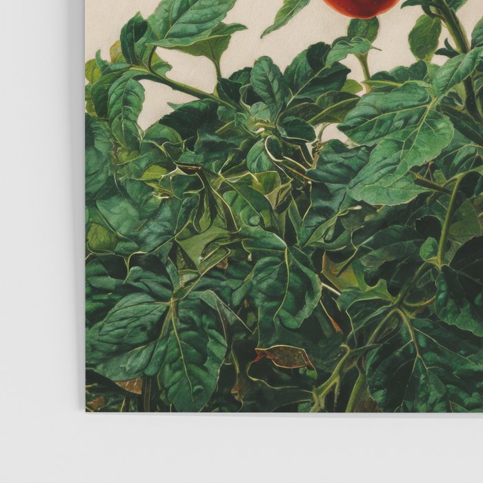 Japanese Wall Art Botanical Art Tomato Girl Summer Sage Green Painting Japandi Poster Kitchen Art Poster Gallery Image 3