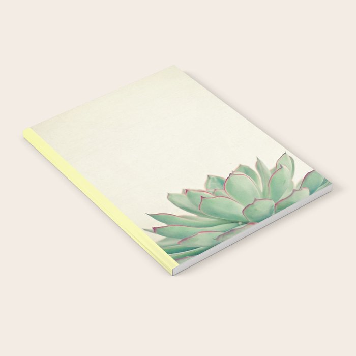 Echeveria Notebook Gallery Image 1