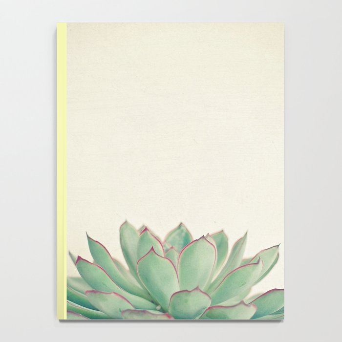 Echeveria Notebook Gallery Image 4