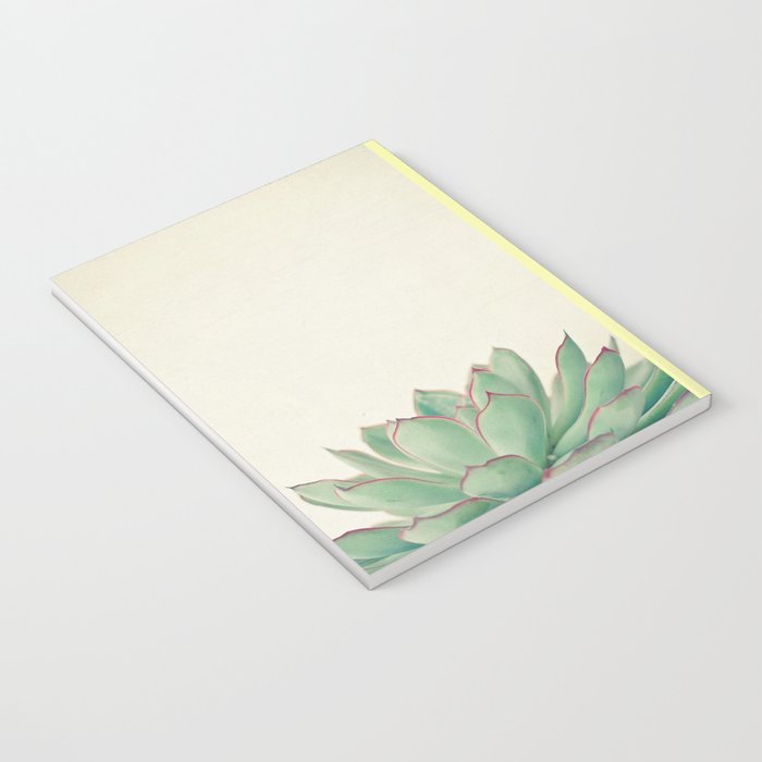 Echeveria Notebook Gallery Image 3