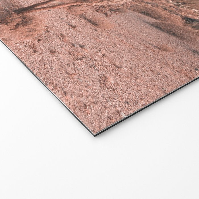 Saguaro National Park Arizona Welcome Mat Gallery Image 2