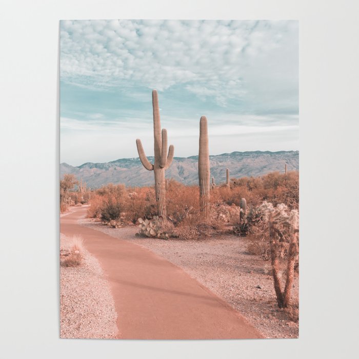 Saguaro National Park Arizona Poster Gallery Image 4