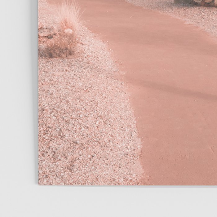Saguaro National Park Arizona Poster Gallery Image 3