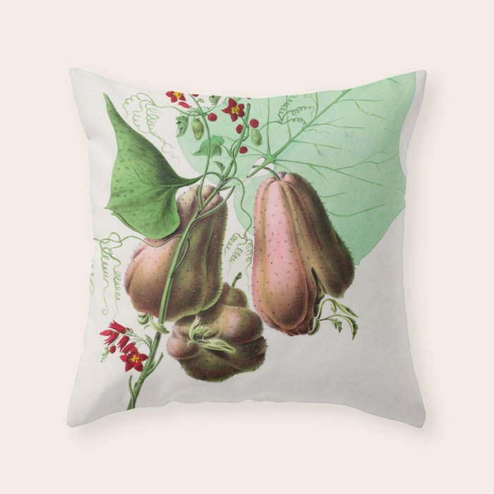 Art from "Flore dâAmÃ©rique" by Ãtienne Denisse, 1840s Throw Pillow Gallery Image 6