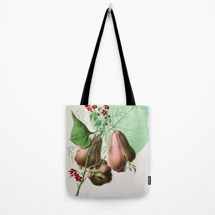 Art from "Flore dâAmÃ©rique" by Ãtienne Denisse, 1840s Tote Bag Gallery Image 2
