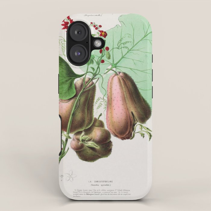Art from "Flore dâAmÃ©rique" by Ãtienne Denisse, 1840s iPhone Case Gallery Image 1