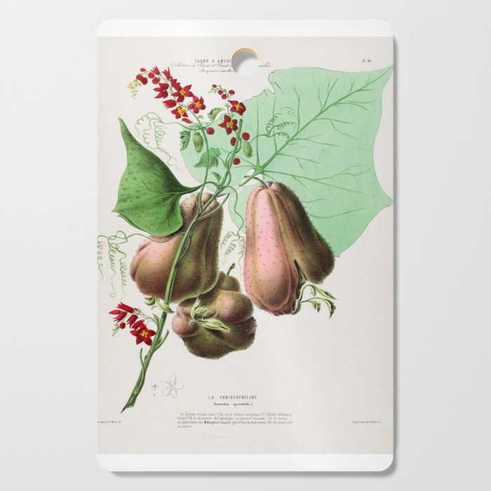 Art from "Flore dâAmÃ©rique" by Ãtienne Denisse, 1840s Cutting Board Gallery Image 1