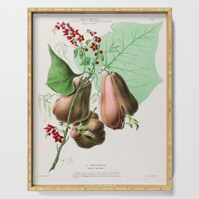 Art from "Flore dâAmÃ©rique" by Ãtienne Denisse, 1840s Serving Tray Gallery Image 1