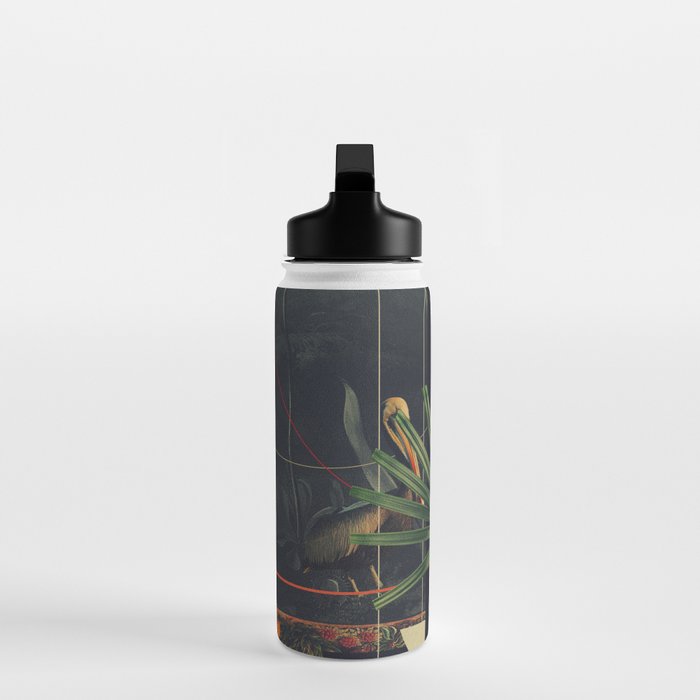 She saw the Equator Water Bottle Gallery Image 3