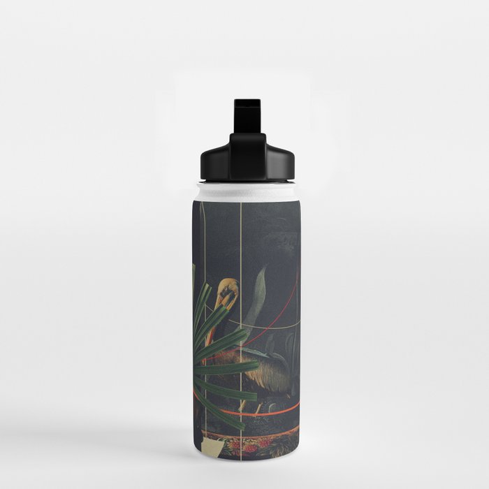 She saw the Equator Water Bottle Gallery Image 2