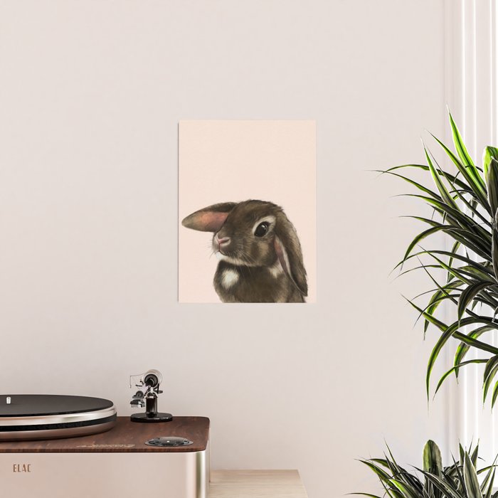 baby bunny Poster Gallery Image 2