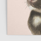 baby bunny Poster Gallery Image 3