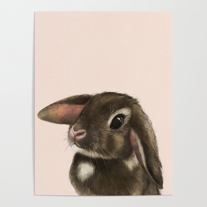 baby bunny Poster Gallery Image 4