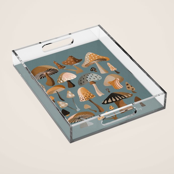 Mushroom Collection â Neutral Palette Acrylic Tray Gallery Image 1