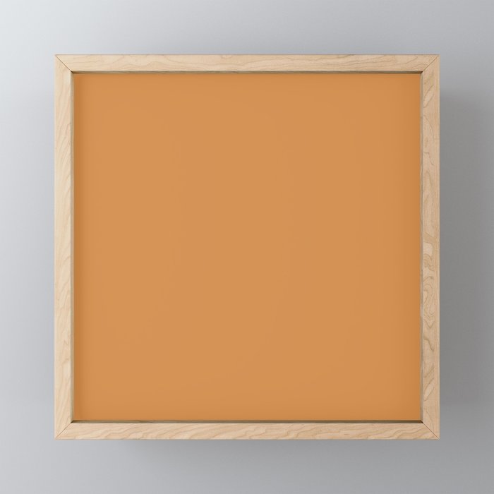 Cantaloupe Orange Muted Solid Color Mini Art Print Gallery Image 1