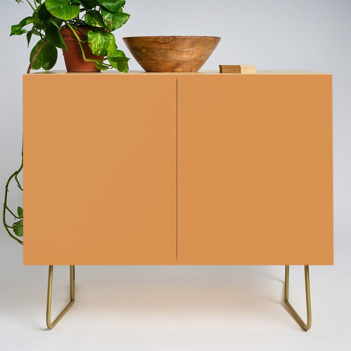 Cantaloupe Orange Muted Solid Color Credenza Gallery Image 1