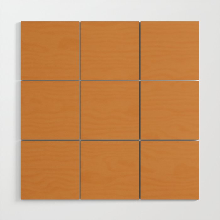 Cantaloupe Orange Muted Solid Color Wood Wall Art Gallery Image 1