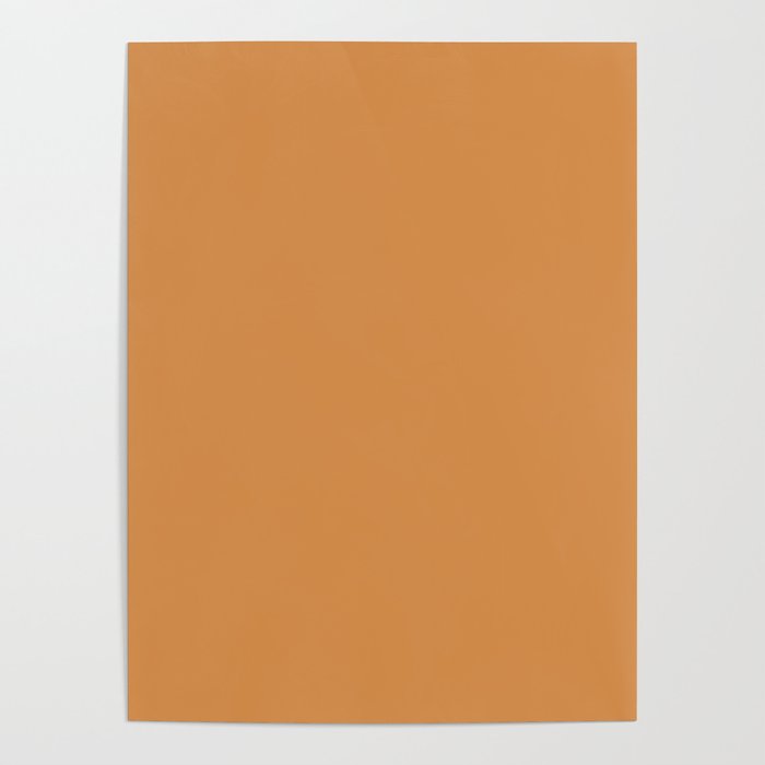 Cantaloupe Orange Muted Solid Color Poster Gallery Image 4