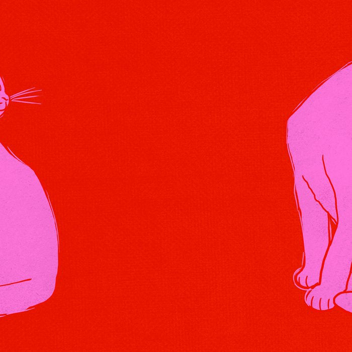 Pink Color Block Cat Coffee Mug Gallery Image 2