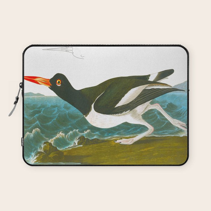 Pied oyster-catcher Bird Laptop Sleeve Gallery Image 1