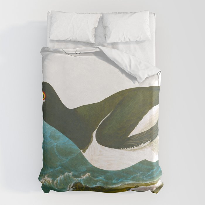 Pied oyster-catcher Bird Duvet Cover Gallery Image 6