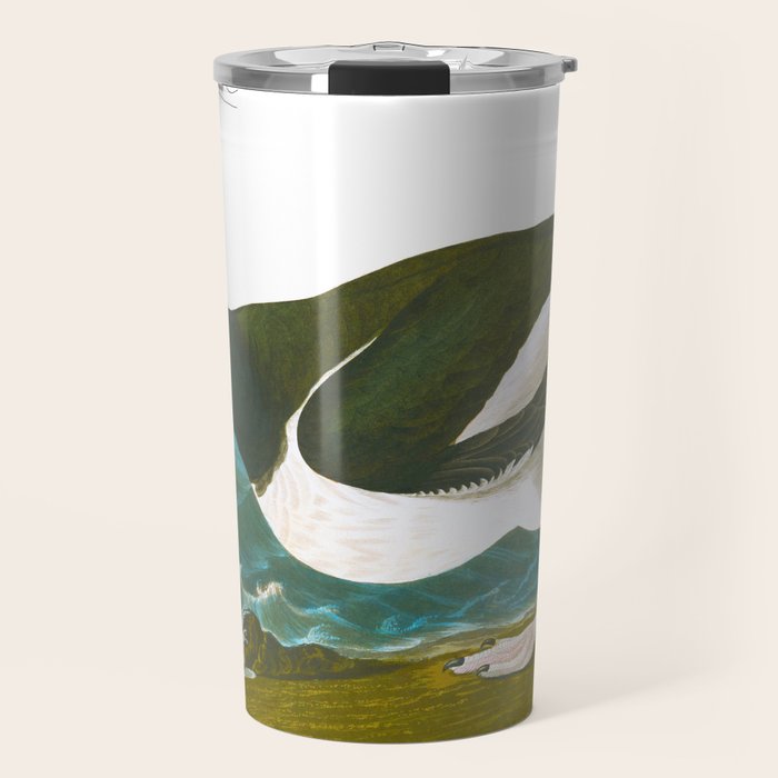 Pied oyster-catcher Bird Travel Mug Gallery Image 1