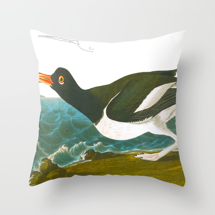 Pied oyster-catcher Bird Throw Pillow Gallery Image 6