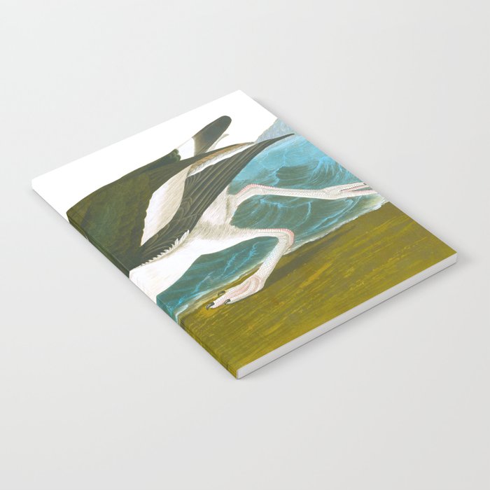 Pied oyster-catcher Bird Notebook Gallery Image 1